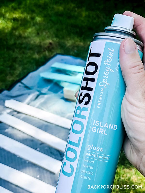 COLORSHOT Spray Paints + Pallet Wood