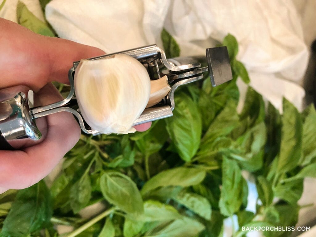 crush garlic into basil