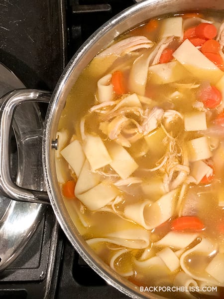 easy chicken noodle soup